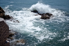 1767110778-CRs223_20250921_104003691-scaled