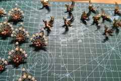 1768144579-IMG_20251201_010047-scaled