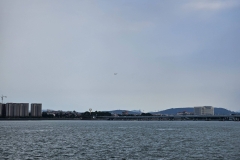 1758121942-20240807_162732-scaled