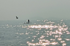 1758121948-CRs223_20241026_150635005-scaled