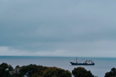 1758121952-IMG_20220326_140046-scaled