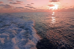 1758121962-mmexport1642076286960