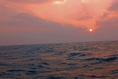 1758121963-mmexport1642076297438