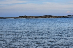 1758121967-20230827_165834-scaled