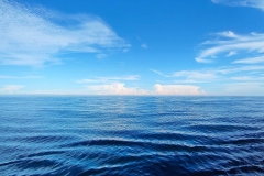 1758121967-mmexport1717940389833