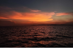 1758122107-IMG_20220710_191206-scaled