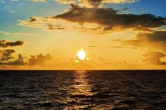 1758122117-mmexport1693669519391-scaled