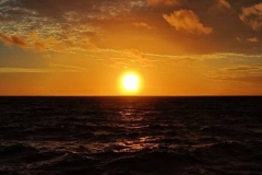 1758122119-mmexport1693669522159-scaled